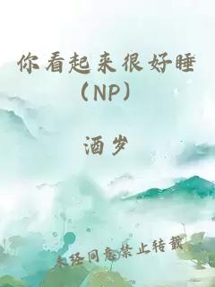 你看起来很好睡（NP）