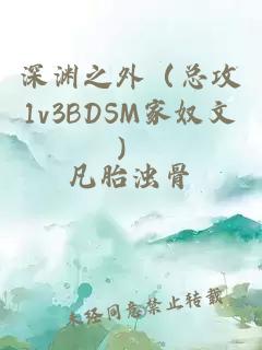 深渊之外（总攻1v3BDSM家奴文）