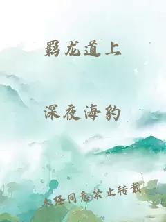 羁龙道上