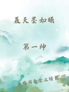 聂天墨如曦