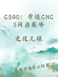 CSGO：带领CNCS问鼎巅峰