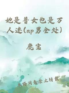 她是普女也是万人迷(np男全处)