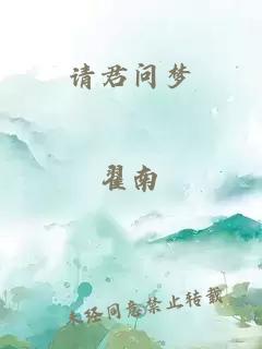 请君问梦