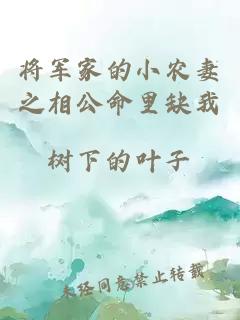 将军家的小农妻之相公命里缺我