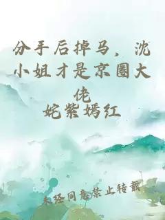 分手后掉马，沈小姐才是京圈大佬