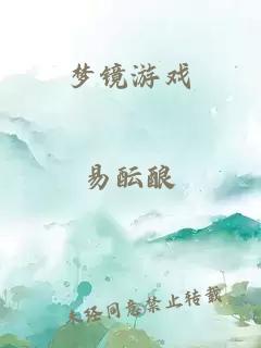 梦镜游戏