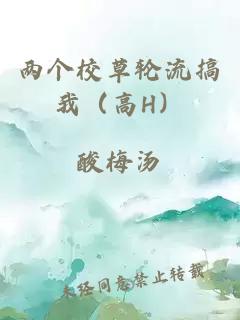 两个校草轮流搞我（高H）