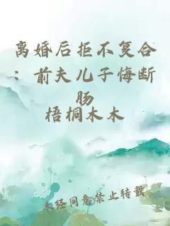 离婚后拒不复合：前夫儿子悔断肠