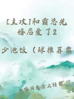 [主攻]和霸总先婚后爱了2