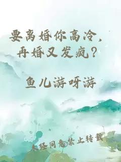 要离婚你高冷，再婚又发疯？