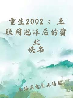 重生2002 ：互联网泡沫后的霸业