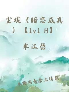 尘埃（暗恋成真）【1v1 H】