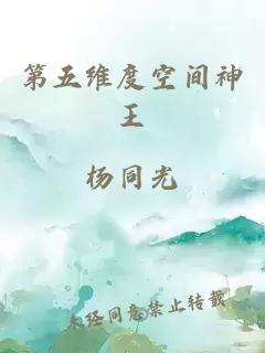 第五维度空间神王