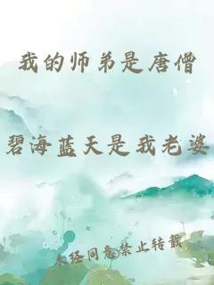 我的师弟是唐僧