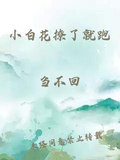 小白花撩了就跑