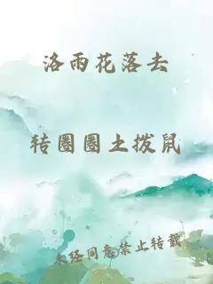 洛雨花落去