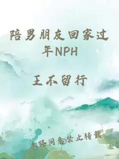 陪男朋友回家过年NPH